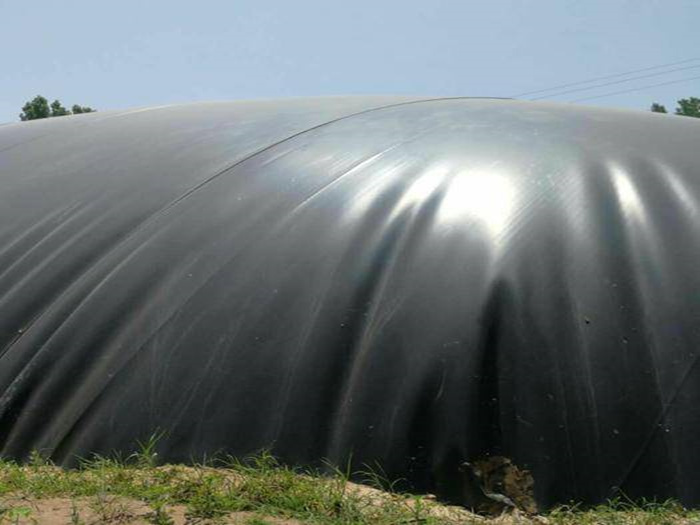 養(yǎng)豬場(chǎng)沼氣池也使用防滲土工膜: